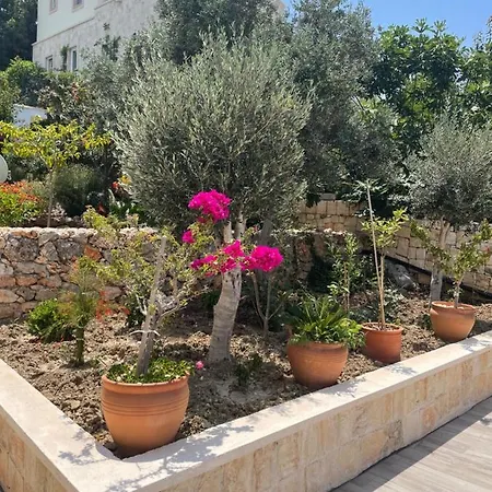 Xanthos Villa *